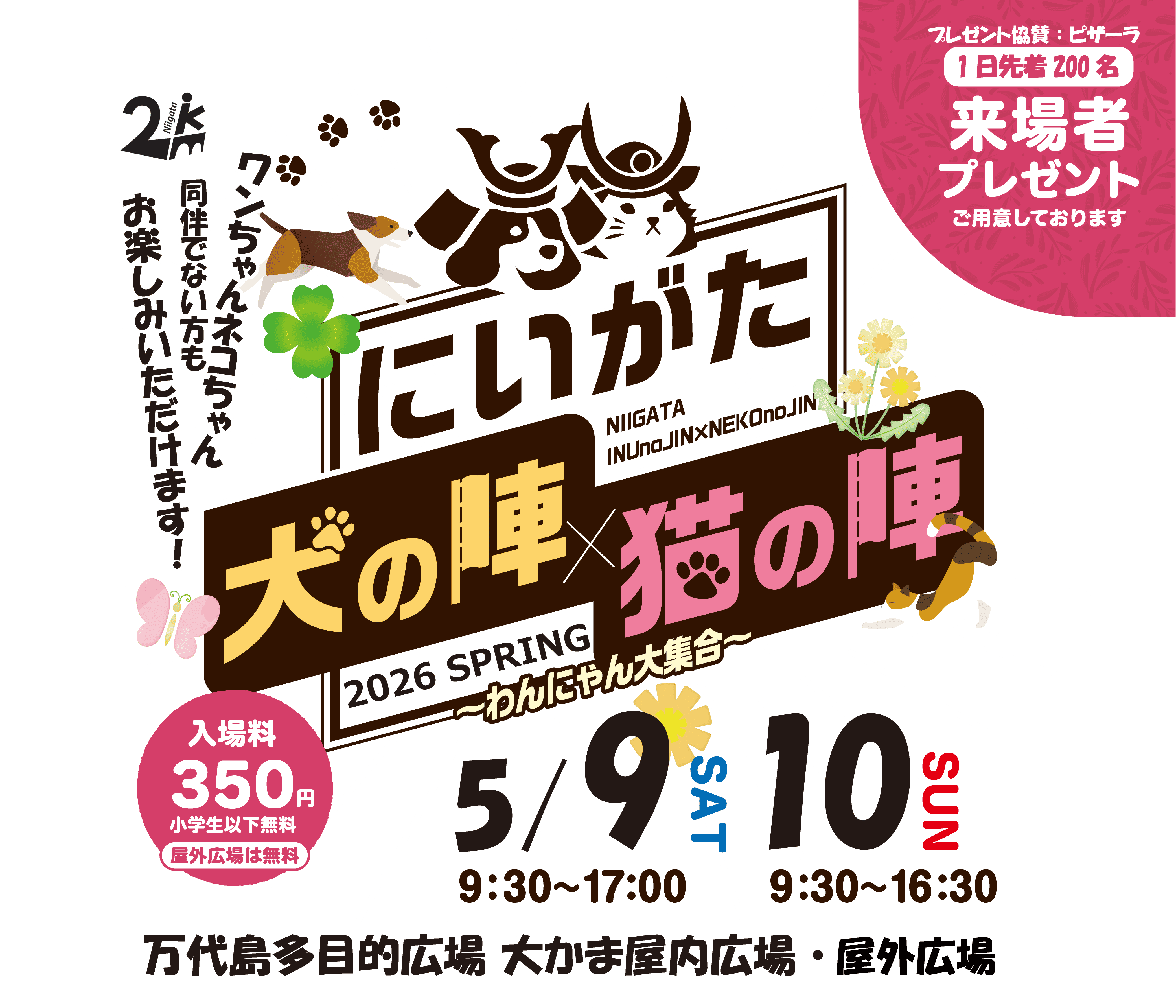 にいがた犬の陣×猫の陣
