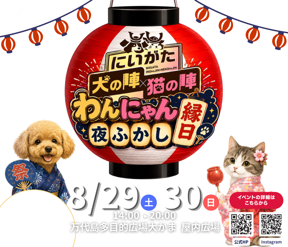 にいがた犬の陣×猫の陣